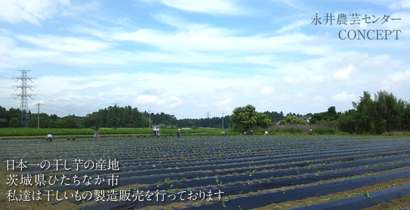 コンセプト 永井農芸センターの取り組み