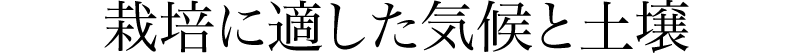 栽培に適した気候と土壌