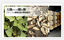 干し芋の永井農芸